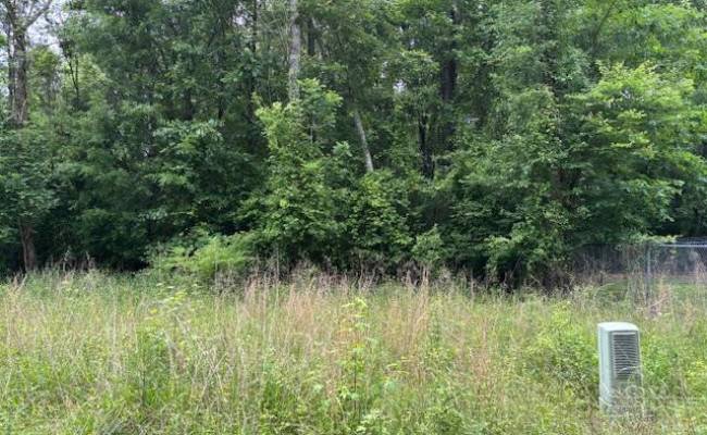 Lot 3 Branch Bridge Street, Southampton County, VA 23828