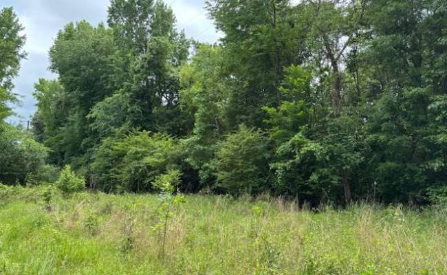 Lot 3 Branch Bridge Street, Southampton County, VA 23828