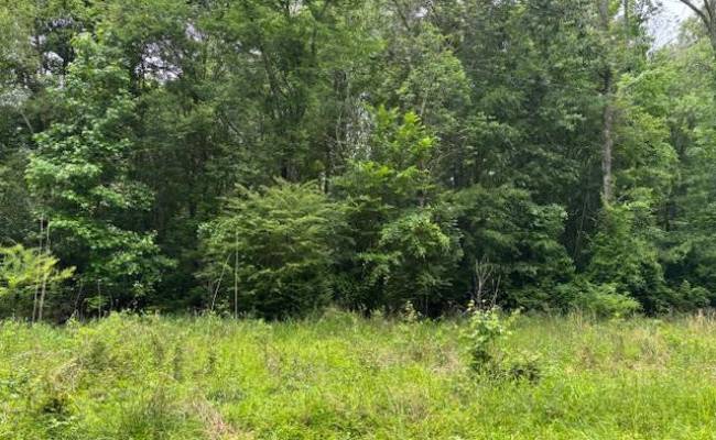 Lot 4 Branch Bridge Street, Southampton County, VA 23828