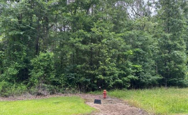 Lot 4 Branch Bridge Street, Southampton County, VA 23828