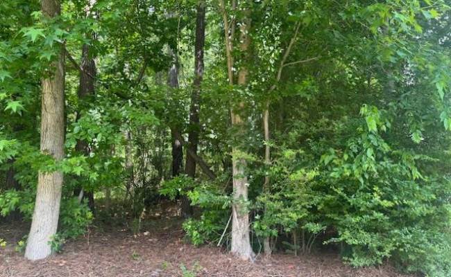 5208 York Street, Chesapeake, VA 23321
