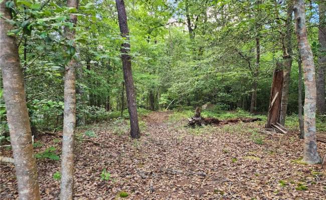 .52+AC Pine Trail, Gloucester County, VA 23061
