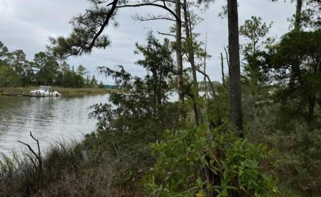10+AC Severn Wharf Road, Gloucester County, VA 23072