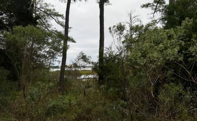 10+AC Severn Wharf Road, Gloucester County, VA 23072