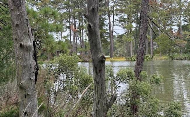 10+AC Severn Wharf Road, Gloucester County, VA 23072