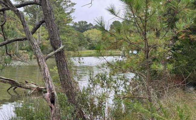 10+AC Severn Wharf Road, Gloucester County, VA 23072