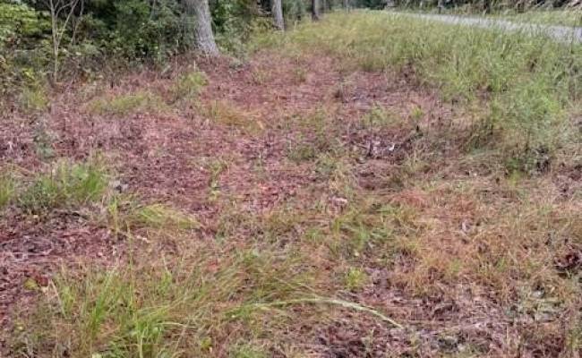 5+AC Severn Wharf Road, Gloucester County, VA 23072