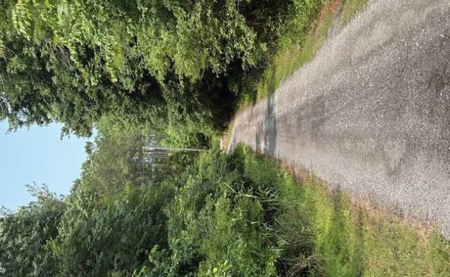 13550 Green Crossing Lane, Isle of Wight County, VA 23430