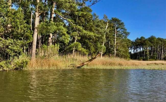 81 Finns Point Ln , Hampton, VA 23669