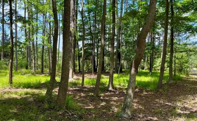 81 Finns Point Ln , Hampton, VA 23669