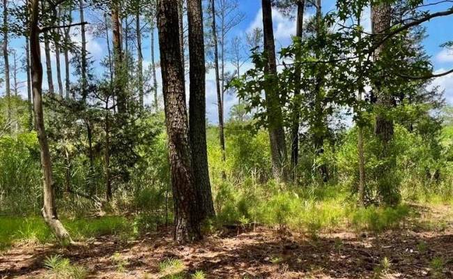 81 Finns Point Ln , Hampton, VA 23669