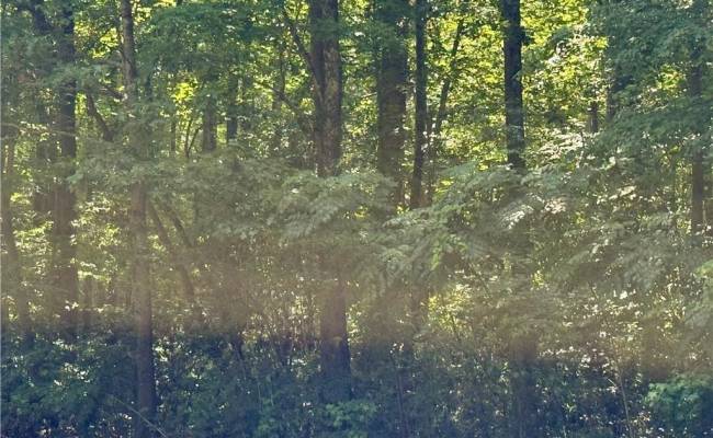 32+AC Johnstown Road, Chesapeake, VA 23322