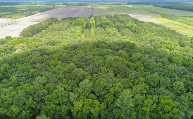 32+AC Johnstown Road, Chesapeake, VA 23322