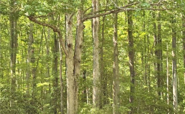 32+AC Johnstown Road, Chesapeake, VA 23322