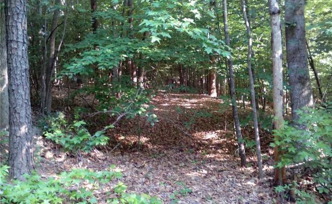 0000 Millers Landing Road, Gloucester County, VA 23190