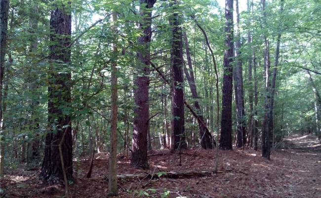 0000 Millers Landing Road, Gloucester County, VA 23190