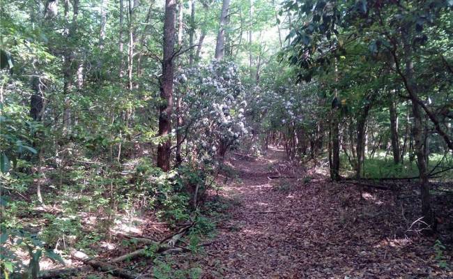0000 Millers Landing Road, Gloucester County, VA 23190