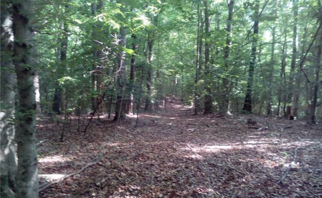 0000 Millers Landing Road, Gloucester County, VA 23190