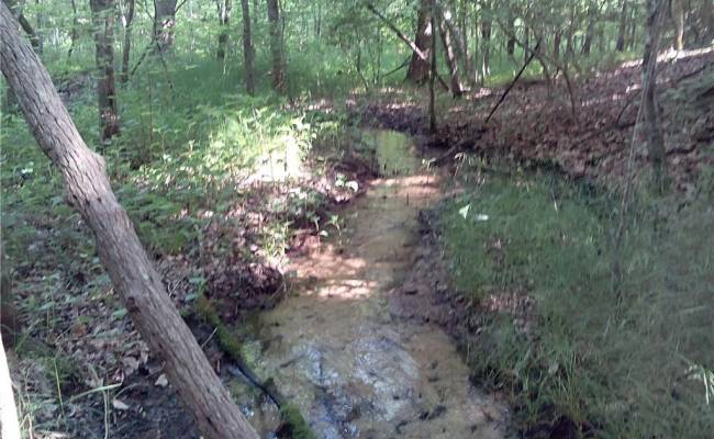 0000 Millers Landing Road, Gloucester County, VA 23190