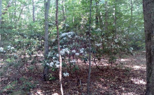 0000 Millers Landing Road, Gloucester County, VA 23190