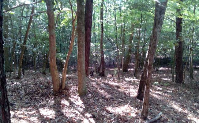 0000 Millers Landing Road, Gloucester County, VA 23190