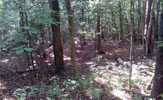 0000 Millers Landing Road, Gloucester County, VA 23190