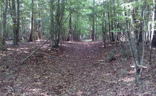 0000 Millers Landing Road, Gloucester County, VA 23190