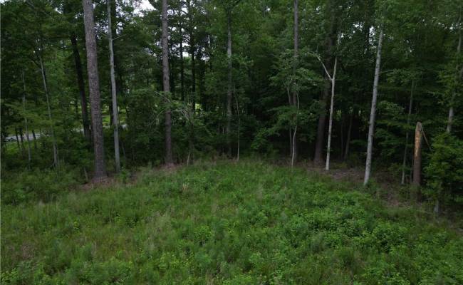 1813 Shillelagh Road, Chesapeake, VA 23323