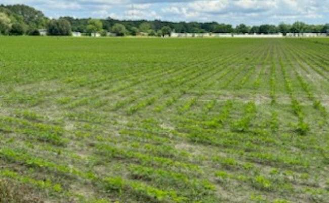 15+AC Tulls Creek Road, Currituck County, NC 27958