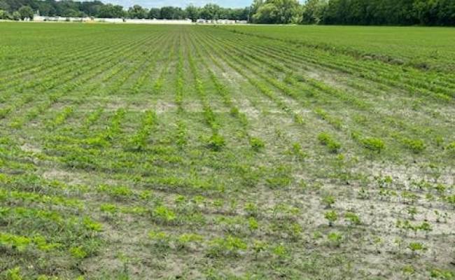 15+AC Tulls Creek Road, Currituck County, NC 27958