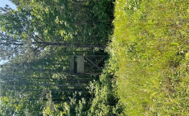 406 Copeland Road, Suffolk, VA 23434