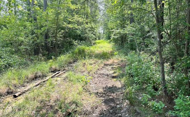 25+AC Lebanon Church Road, Sussex County, VA 23867