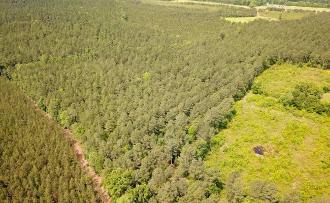 25+AC Lebanon Church Road, Sussex County, VA 23867