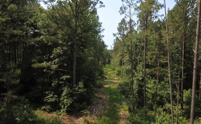 25+AC Lebanon Church Road, Sussex County, VA 23867