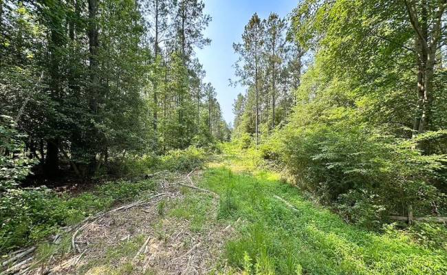 25+AC Lebanon Church Road, Sussex County, VA 23867