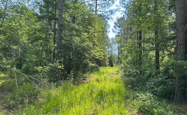 25+AC Lebanon Church Road, Sussex County, VA 23867