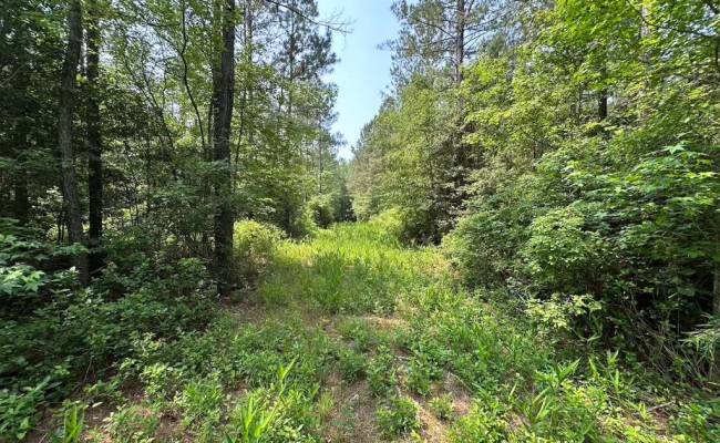 25+AC Lebanon Church Road, Sussex County, VA 23867