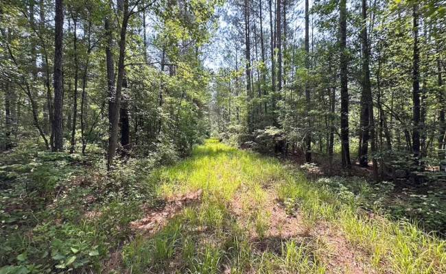 25+AC Lebanon Church Road, Sussex County, VA 23867