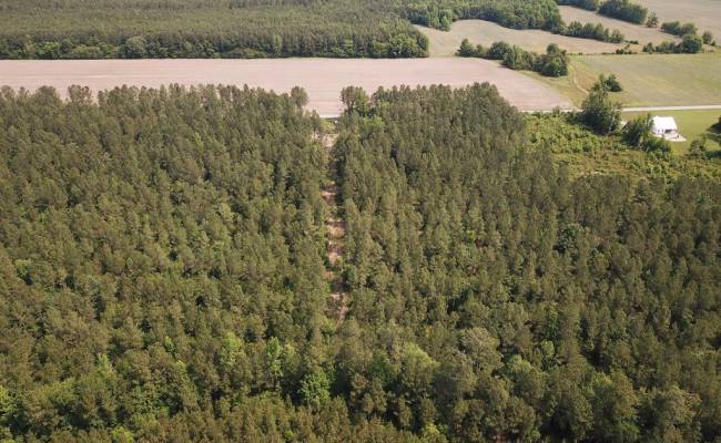 25+AC Lebanon Church Road, Sussex County, VA 23867