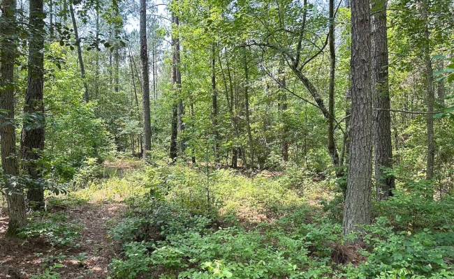25+AC Lebanon Church Road, Sussex County, VA 23867