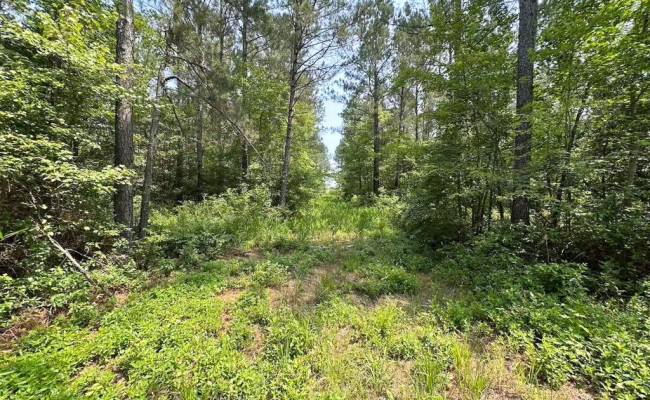25+AC Lebanon Church Road, Sussex County, VA 23867