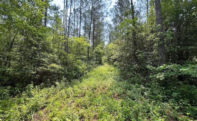 25+AC Lebanon Church Road, Sussex County, VA 23867