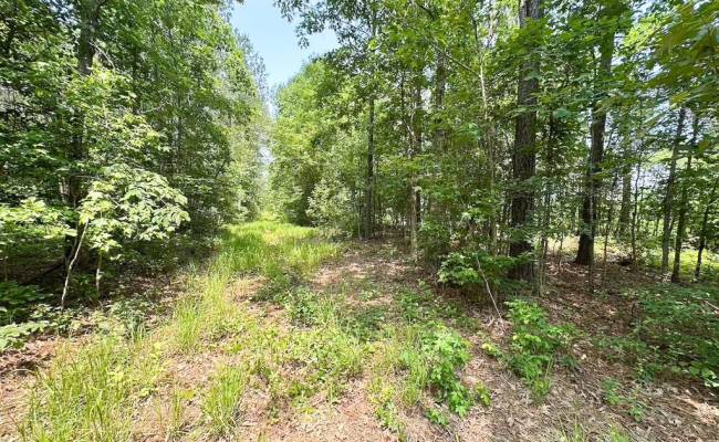 25+AC Lebanon Church Road, Sussex County, VA 23867