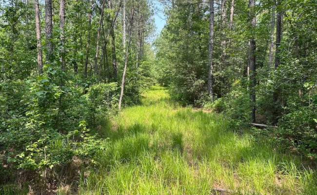 25+AC Lebanon Church Road, Sussex County, VA 23867
