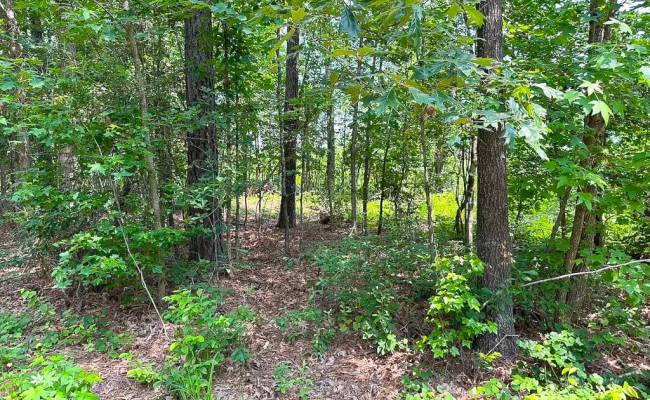25+AC Lebanon Church Road, Sussex County, VA 23867