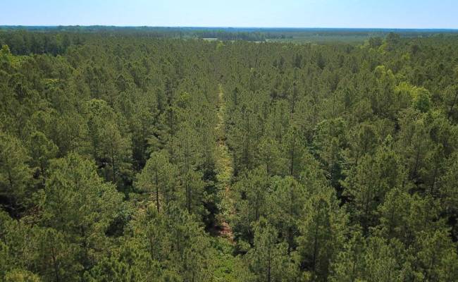 25+AC Lebanon Church Road, Sussex County, VA 23867
