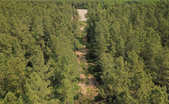 25+AC Lebanon Church Road, Sussex County, VA 23867
