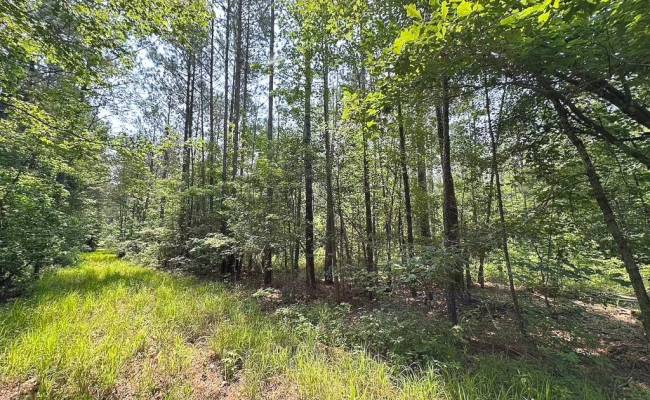 25+AC Lebanon Church Road, Sussex County, VA 23867