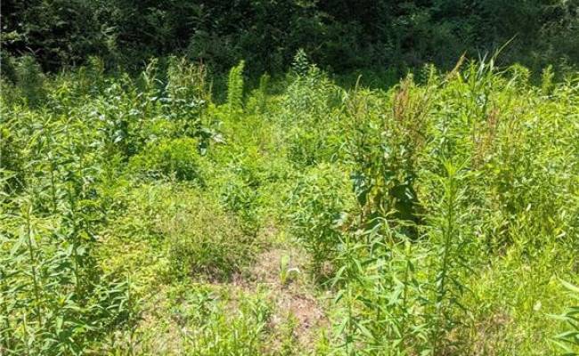 4172 West Drive, Northampton County, VA 23310