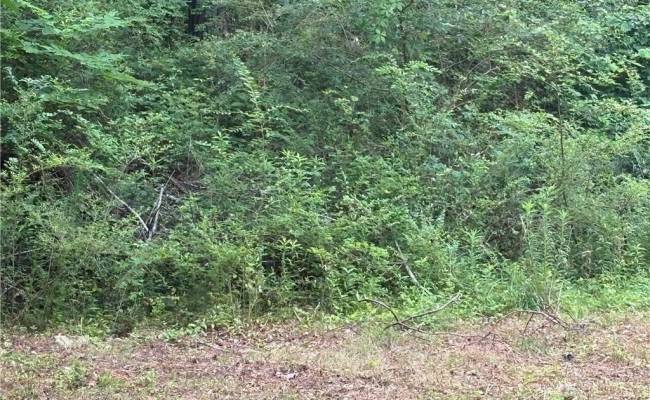 4172 West Drive, Northampton County, VA 23310
